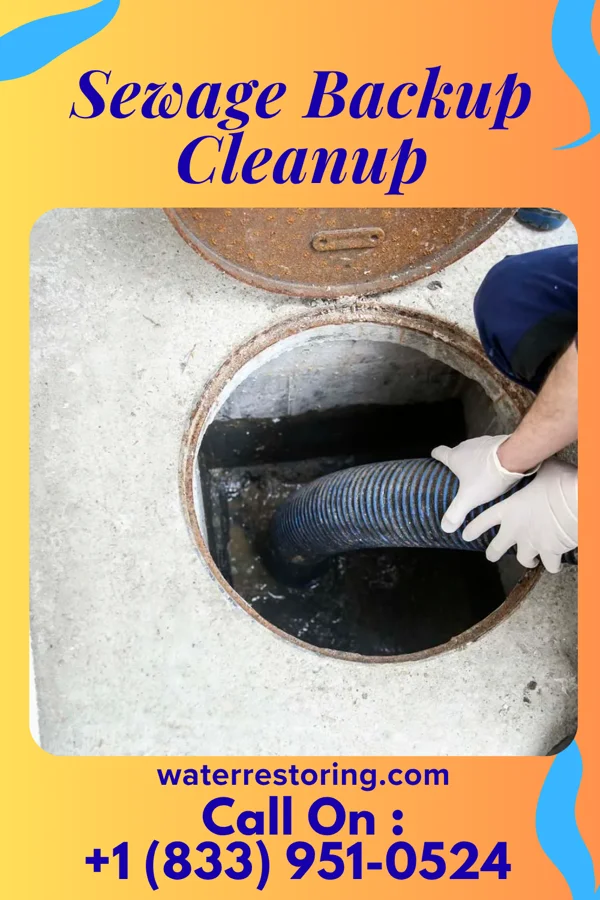 Sewage Backup Cleanup in Allendale, SC