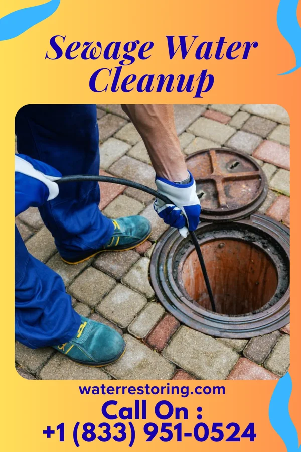 Sewage Water Cleanup in Allendale, SC